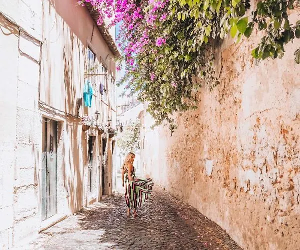 サンティアゴ デ アルファマ ブティック 5* リスボン